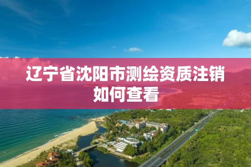 辽宁省沈阳市测绘资质注销如何查看