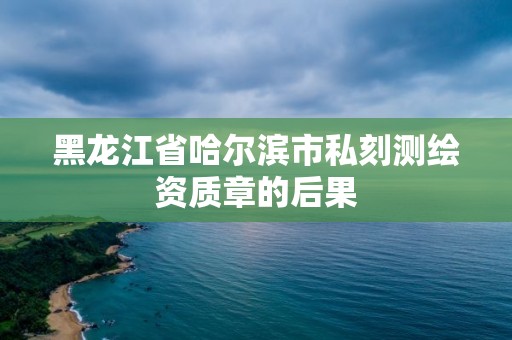 黑龙江省哈尔滨市私刻测绘资质章的后果