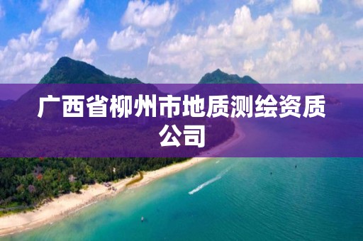 广西省柳州市地质测绘资质公司