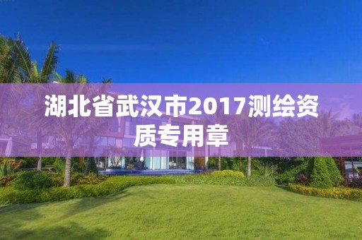 湖北省武汉市2017测绘资质专用章