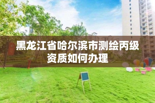 黑龙江省哈尔滨市测绘丙级资质如何办理