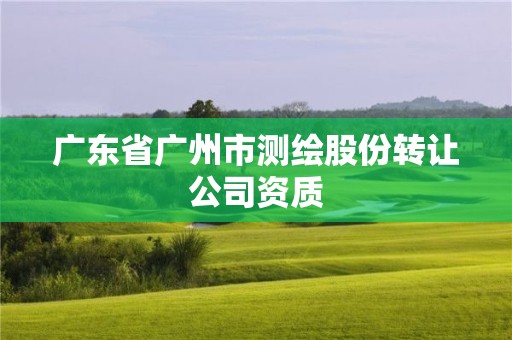 广东省广州市测绘股份转让公司资质