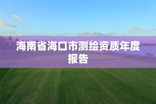 海南省海口市测绘资质年度报告