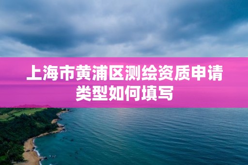 上海市黄浦区测绘资质申请类型如何填写