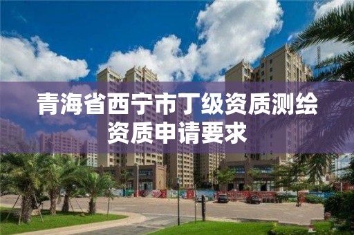 青海省西宁市丁级资质测绘资质申请要求