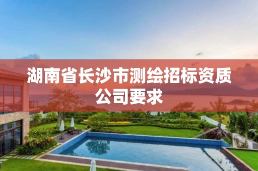 湖南省长沙市测绘招标资质公司要求