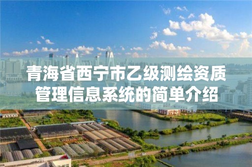 青海省西宁市乙级测绘资质管理信息系统的简单介绍