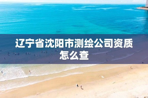 辽宁省沈阳市测绘公司资质怎么查