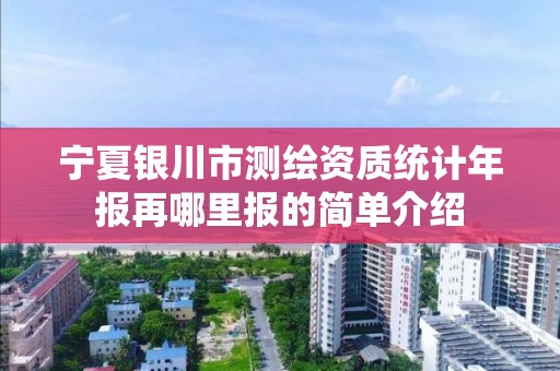 宁夏银川市测绘资质统计年报再哪里报的简单介绍