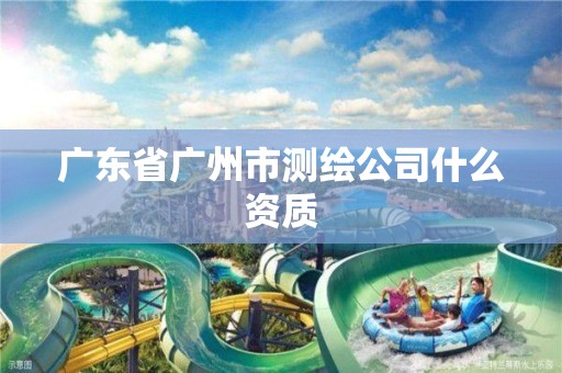 广东省广州市测绘公司什么资质