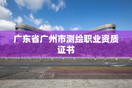 广东省广州市测绘职业资质证书