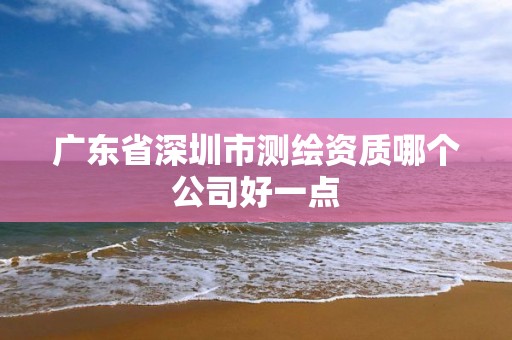 广东省深圳市测绘资质哪个公司好一点