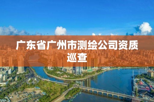 广东省广州市测绘公司资质巡查