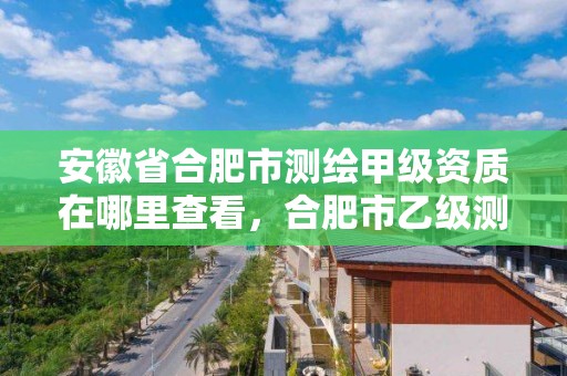 安徽省合肥市测绘甲级资质在哪里查看，合肥市乙级测绘公司