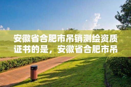 安徽省合肥市吊销测绘资质证书的是，安徽省合肥市吊销测绘资质证书的是什么单位