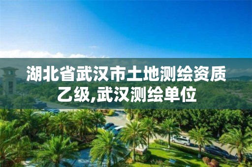 湖北省武汉市土地测绘资质乙级,武汉测绘单位