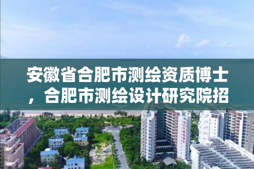 安徽省合肥市测绘资质博士，合肥市测绘设计研究院招聘