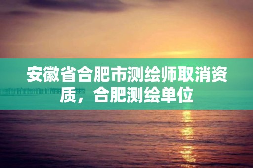 安徽省合肥市测绘师取消资质，合肥测绘单位