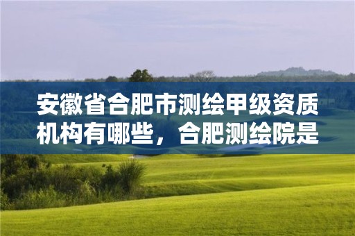 安徽省合肥市测绘甲级资质机构有哪些，合肥测绘院是什么单位