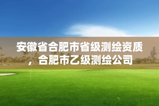 安徽省合肥市省级测绘资质，合肥市乙级测绘公司