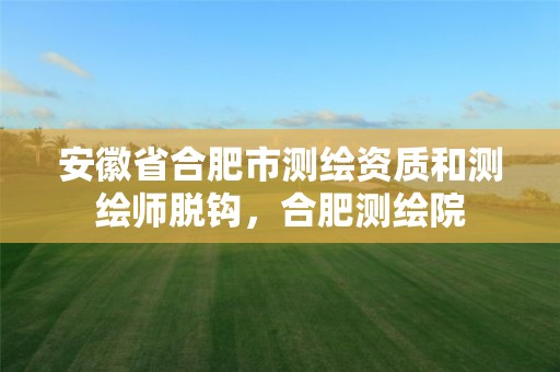 安徽省合肥市测绘资质和测绘师脱钩，合肥测绘院