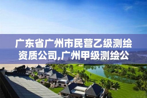 广东省广州市民营乙级测绘资质公司,广州甲级测绘公司