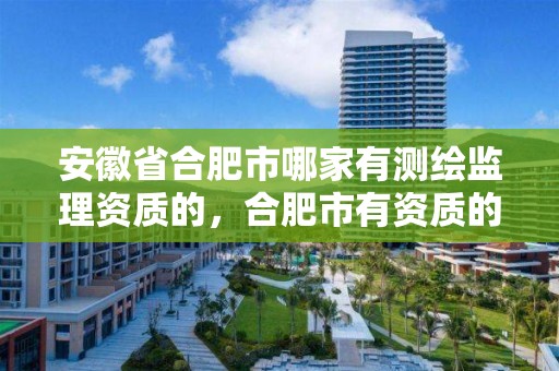 安徽省合肥市哪家有测绘监理资质的，合肥市有资质的测绘公司