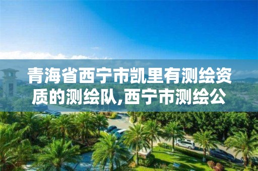 青海省西宁市凯里有测绘资质的测绘队,西宁市测绘公司