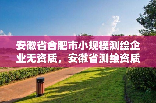 安徽省合肥市小规模测绘企业无资质，安徽省测绘资质延期公告