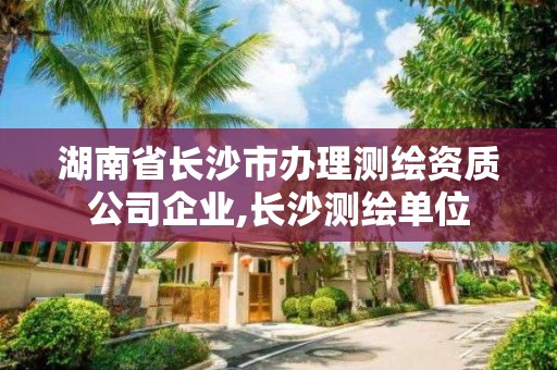 湖南省长沙市办理测绘资质公司企业,长沙测绘单位