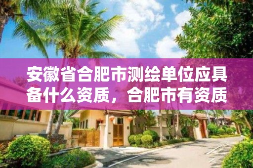 安徽省合肥市测绘单位应具备什么资质，合肥市有资质的测绘公司