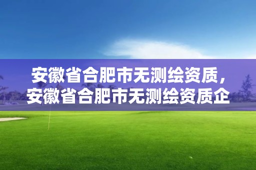 安徽省合肥市无测绘资质，安徽省合肥市无测绘资质企业名单