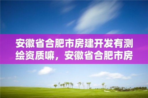 安徽省合肥市房建开发有测绘资质嘛，安徽省合肥市房建开发有测绘资质嘛现在