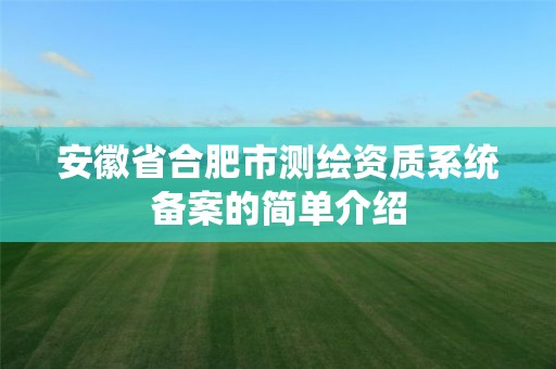 安徽省合肥市测绘资质系统备案的简单介绍