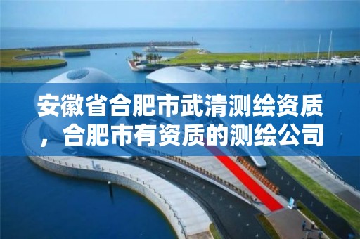 安徽省合肥市武清测绘资质，合肥市有资质的测绘公司