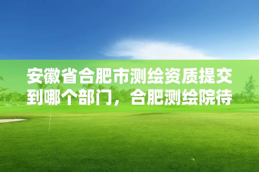 安徽省合肥市测绘资质提交到哪个部门，合肥测绘院待遇怎么样