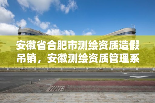 安徽省合肥市测绘资质造假吊销，安徽测绘资质管理系统