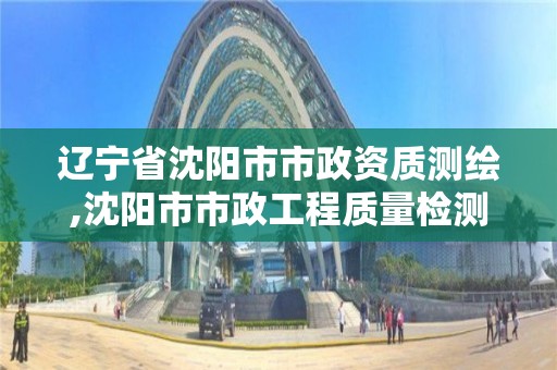 辽宁省沈阳市市政资质测绘,沈阳市市政工程质量检测中心