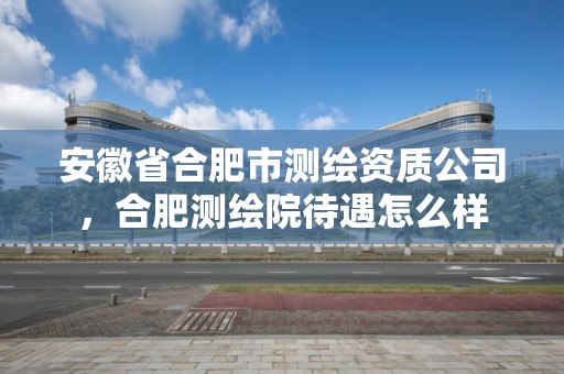 安徽省合肥市测绘资质公司，合肥测绘院待遇怎么样