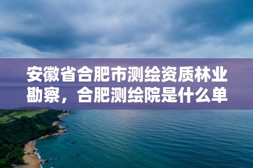 安徽省合肥市测绘资质林业勘察，合肥测绘院是什么单位