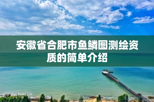 安徽省合肥市鱼鳞图测绘资质的简单介绍