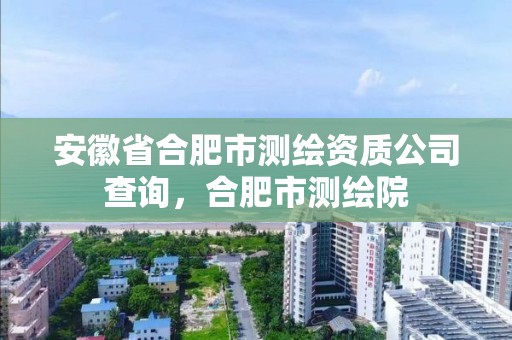 安徽省合肥市测绘资质公司查询，合肥市测绘院