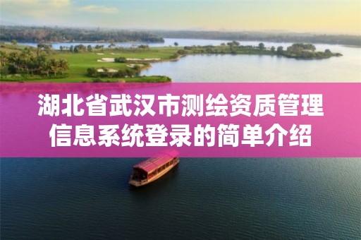 湖北省武汉市测绘资质管理信息系统登录的简单介绍