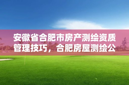 安徽省合肥市房产测绘资质管理技巧，合肥房屋测绘公司