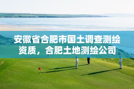 安徽省合肥市国土调查测绘资质，合肥土地测绘公司