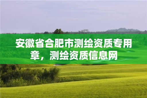 安徽省合肥市测绘资质专用章，测绘资质信息网