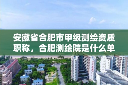 安徽省合肥市甲级测绘资质职称，合肥测绘院是什么单位