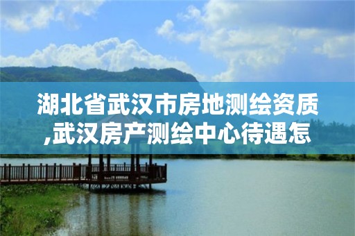 湖北省武汉市房地测绘资质,武汉房产测绘中心待遇怎么样