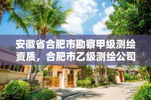 安徽省合肥市勘察甲级测绘资质，合肥市乙级测绘公司