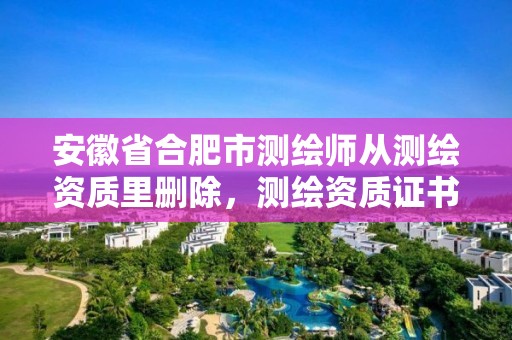 安徽省合肥市测绘师从测绘资质里删除，测绘资质证书的式样